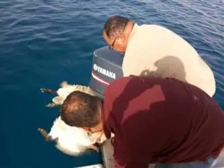 أرشيفية