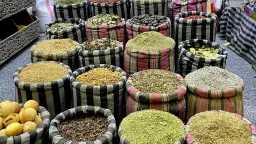 التقارير والحوارات