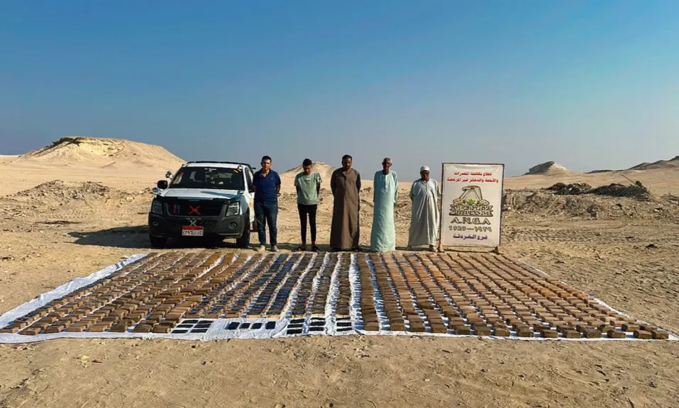طن حشيش