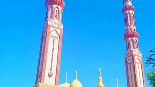 الأخبار