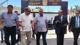 التقارير والحوارات