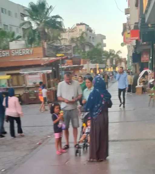 الأخبار