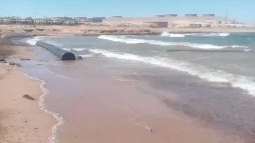 الأخبار