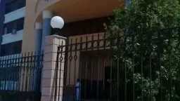 اليوم استئناف محاكمة تشكيل عصابي...