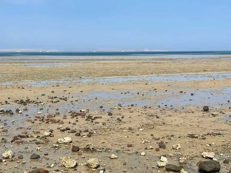 البيئة والغوص