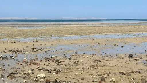 البيئة والغوص