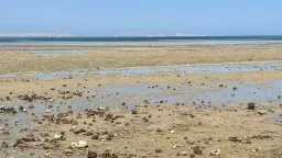 البيئة والغوص